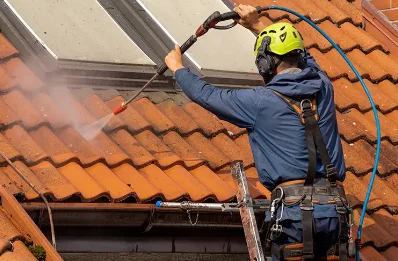 Démoussage et hydrofuge de toiture à Auriolles